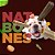 Snack Natural Farm Natbones Pet Sabor Frango Para Cães 340gr - Imagem 4