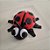 Mini Joaninha - Imagem 1