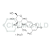 37067-30-4 Metilumbeliferil(4)-N-Acetil-Β-D-Glucosaminida (4-Methylumbelliferyl N-Acetyl-Β-D-Glucosaminide) - Imagem 1