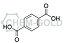 100-21-0 Ácido Tereftálico - Imagem 1