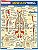 Musculos: Origens & Insercoes - Resumao - Imagem 1