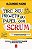 Tire Seu Projeto do Papel com Scrum - Imagem 1