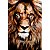 Biblia Sagrada Leao - Marrom - Imagem 1