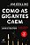 Como as Gigantes Caem: e por Que Algumas Empresas Jamais Desistem - Imagem 1