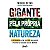 Gigante Pela Propria Natureza: Lideranca Alem do Esg na Maior Potencia - Imagem 1