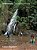 Predicament/situacoes Dificeis - Imagem 1