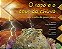 Sapo e o Deus da Chuva, o - Um Conto do Povo Yaqui - Col. Contos Indigenas - Imagem 1