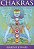 Chakras Centro de Energia de Transformacao - Imagem 1