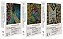 Do Roraima ao Orinoco - 3 Volumes - Resultados de Uma Viagem no Norte do br - Imagem 1