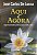 Aqui e Agora - Espiritualidade Pratica para o Dia a Dia - Imagem 1
