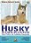 Husky Siberiano: Guia Pratico de Cuidados Essenciais - Imagem 1