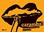 Caramba!: a Historia Secreta dos Carimbos - Imagem 1