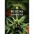 Medicina Canabinoide: o Poder da Cannabis no Tratamento de Doencas - Imagem 1