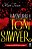As Aventuras de Tom Sawyer - Imagem 1