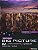 American Big Picture B2 Split B - Imagem 1