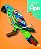 Projeto Apis - Geografia - 2 ano - Imagem 1