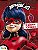 Ladybug - o Grande Torneio - Imagem 1