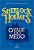 Sherlock Holmes: o Vale do Medo - Imagem 1