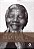 Nelson Mandela: Longa Caminhada Ate a Liberdade - Volume 1 - Imagem 1