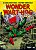 Melhor dos Super-herois!, o - Wonder Wart-hog - Imagem 1