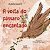 Volta do Passaro Encantado, A - Imagem 1