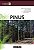 Pinus: Do Plantio À Colheita - Imagem 1