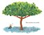 Converseiro da Natureza - Imagem 2