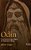 Odin - Uma História Arqueológica da Dinamarca Viking - Imagem 1