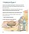 Bíblia do menino -  História Inspiradoras Para Crianças de Fé - Imagem 5