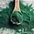 Spirulina em Pó - Imagem 1