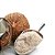 Leite de Coco em Pó (Vegano) - Imagem 1