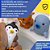 Kit Infantil Banho Animais Polares Que Espirram Água  Janod - Imagem 10