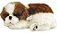 Cachorro Filhote Pelúcia Perfect Petzzz Respira Shih Tzu - Imagem 2
