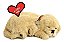 Cachorro Filhote Perfect Petzzz Respira Pet Golden Retriever - Imagem 5