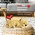 Cachorro Filhote Perfect Petzzz Respira Pet Golden Retriever - Imagem 16