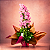 Camponola Rosa - Imagem 2