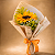 Raio de Sol - Imagem 2