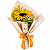 Raio de Sol - Imagem 1