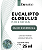 Óleo Essencial  Eucalipto Globulus Pure & Natural 25ml - Imagem 2