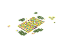 Floresta encantada - Imagem 2
