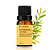Oleo Essencial de Tea Tree (Melaleuca) 10 ml - By Samia - Imagem 1