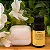 Oleo Essencial de Litsea (Verbena Tropical) 10 ml - By Samia - Imagem 1
