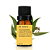 Óleo Essencial De Eucalipto Globulos 10 ml - By Samia - Imagem 1