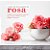 Pomander Rosa e Sândalo - Autoamor - Spray ambiente 100ml - Imagem 2