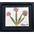Colagem de Alho Ornamental (Allium) PP | By Regina Duarte - Imagem 1