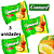 BOLINHO CUSTARD LOTTE  3 UNIDADES - Imagem 1