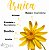 Arnica Concentrada - Vida Ervas - 100 ML - Imagem 3
