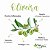 Oliveira - Vida Ervas - 100 ML - Imagem 3