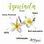 Agoniada - Vida Ervas - 100 ML - Imagem 3