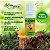 Extrato de Propólis Verde - 20 ML - Imagem 1
